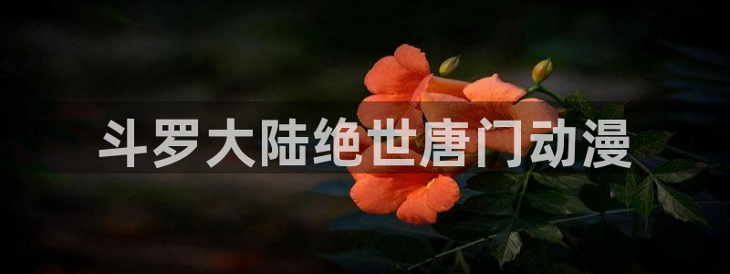 age动漫omofun：斗罗大陆绝世唐门动漫