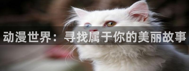 age动漫官网在线入口：动漫世界：寻找属于你的美丽故事