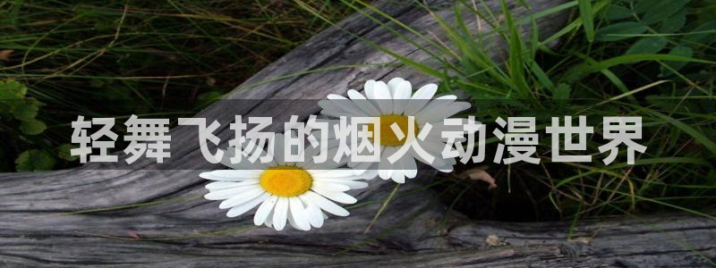 age动漫网：轻舞飞扬的烟火动漫世界