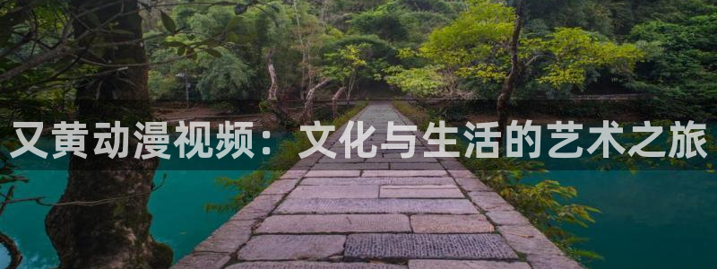 managereader漫画官网入口：又黄动漫视频：文化与生活的艺术之旅