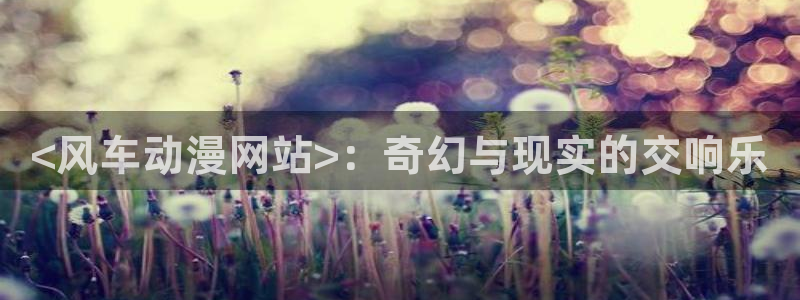 韩国漫画平台kakaopage：<风车动漫网站>：奇幻与现实的交响乐