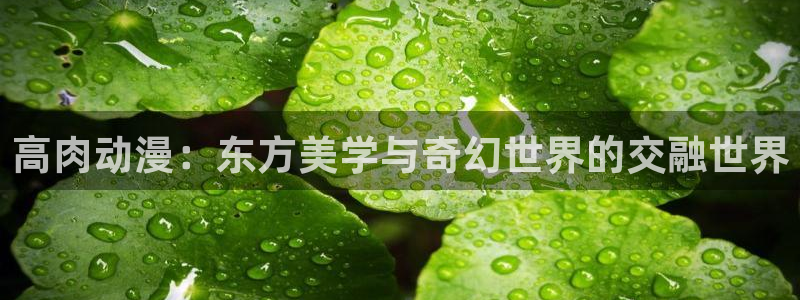 colamanage漫画下载：高肉动漫：东方美学与奇幻世界的交融世界