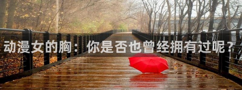 age动漫下载入口：动漫女的胸：你是否也曾经拥有过呢？