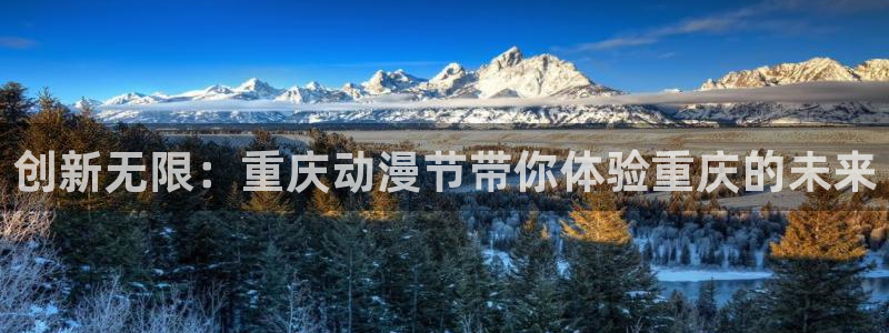 age动漫下载入口：创新无限：重庆动漫节带你体验重庆的未来