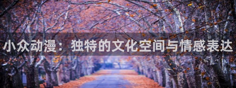 age动漫网：小众动漫：独特的文化空间与情感表达