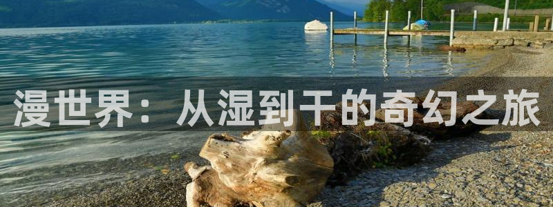 age专注动漫的门户网站：漫世界：从湿到干的奇幻之旅